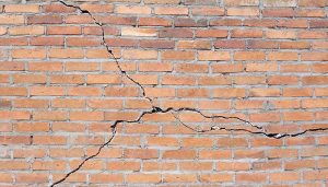 Dilapidations - Trinity Rose