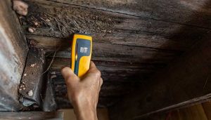 limited defects report and wood rot