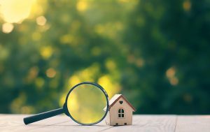 How to choose a surveyor
