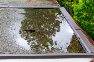 flat roof