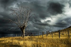 storm damage