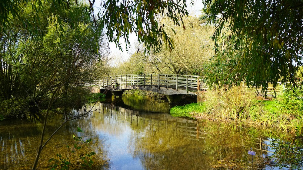 Salisbury