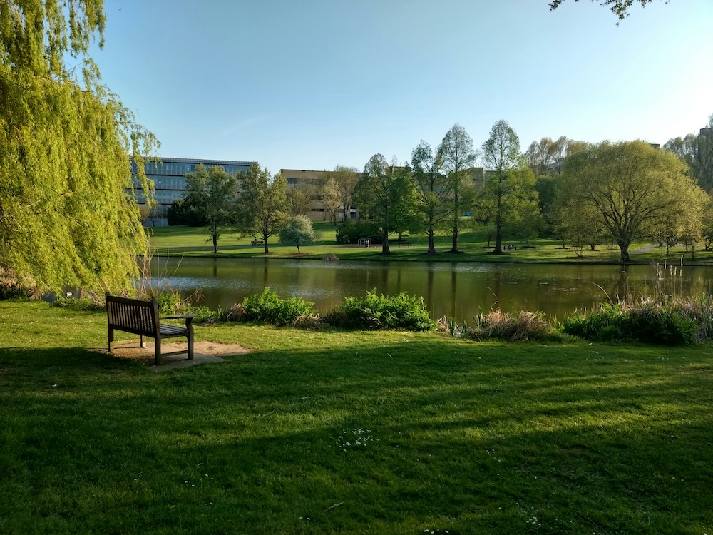 University of Surrey in Guildford