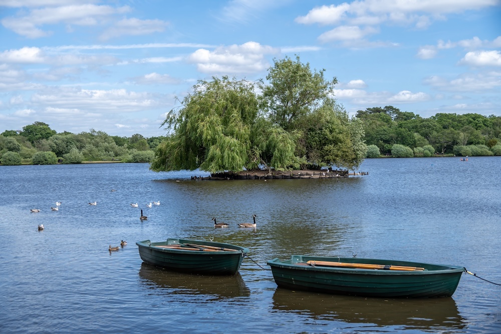 Rowing boats on Petersfield Heath Pond Hampshire England
